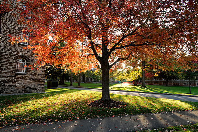Hamilton campus in the Fall